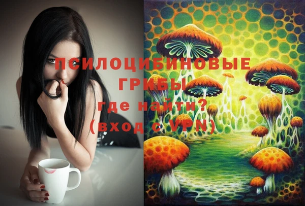кокс Абаза